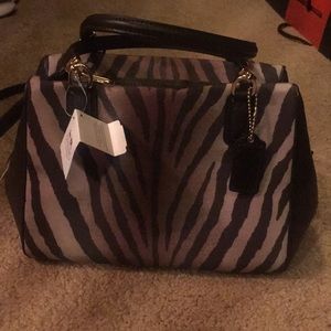 Small Coach Purse
